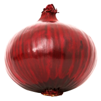 Red Onions